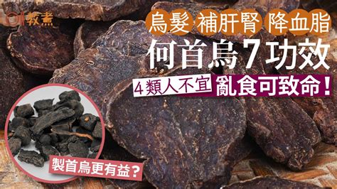 何首烏 功效|何首烏 的功效與作用有哪些？完整解析！